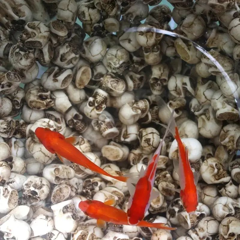 🎁Halloween Eve Promotions 🔥 Adorable Mini Skull Set (40 PCS)