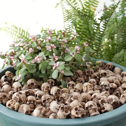 🎁Halloween Eve Promotions 🔥 Adorable Mini Skull Set (40 PCS)