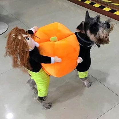 🔥HOT SALE 50%OFF🔥Funny Party Dog Halloween Costume