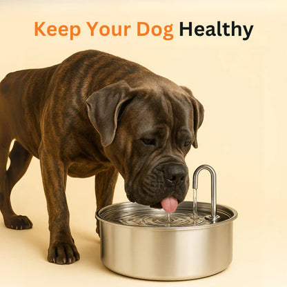 📦 free shipping📦Automatic circulating water 3.2L large capacity cat and dog water feeder