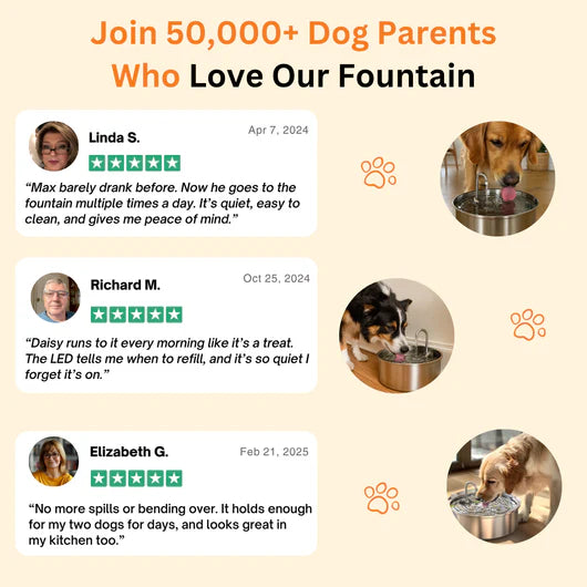 📦 free shipping📦Automatic circulating water 3.2L large capacity cat and dog water feeder