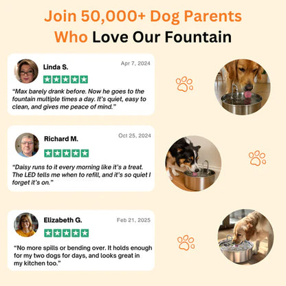 📦 free shipping📦Automatic circulating water 3.2L large capacity cat and dog water feeder