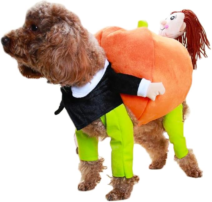 🔥HOT SALE 50%OFF🔥Funny Party Dog Halloween Costume