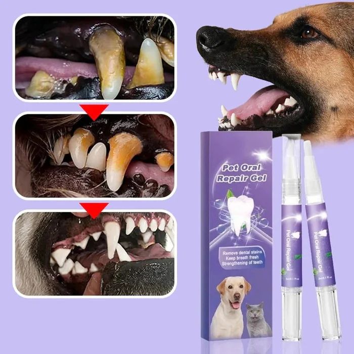 🔥HOT SALE 50%OFF🔥Pet Oral Repair Gel