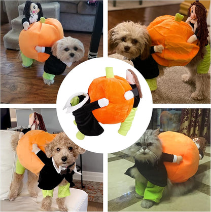 🔥HOT SALE 50%OFF🔥Funny Party Dog Halloween Costume