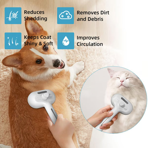 🔥Pet Spray Hair Removal Comb