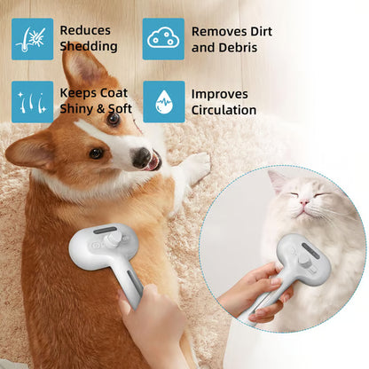 🔥Pet Spray Hair Removal Comb