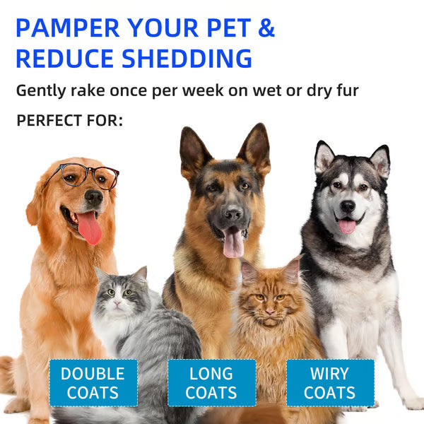 🔥Pet Spray Hair Removal Comb