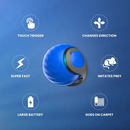 🔥Interactive Electric Rolling Ball with Teasing Tail