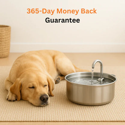 📦 free shipping📦Automatic circulating water 3.2L large capacity cat and dog water feeder