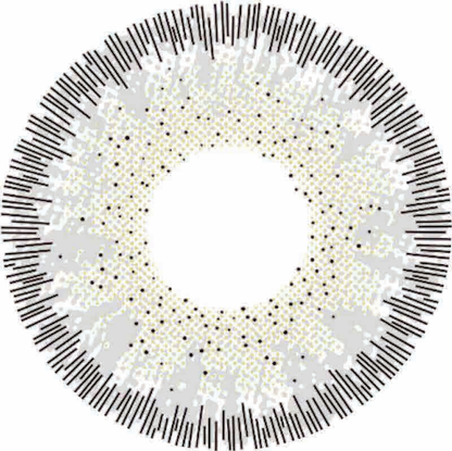 🔥【Factory direct sales】🔥Polar Light Gray Contact Lenses [1-Year Validity]