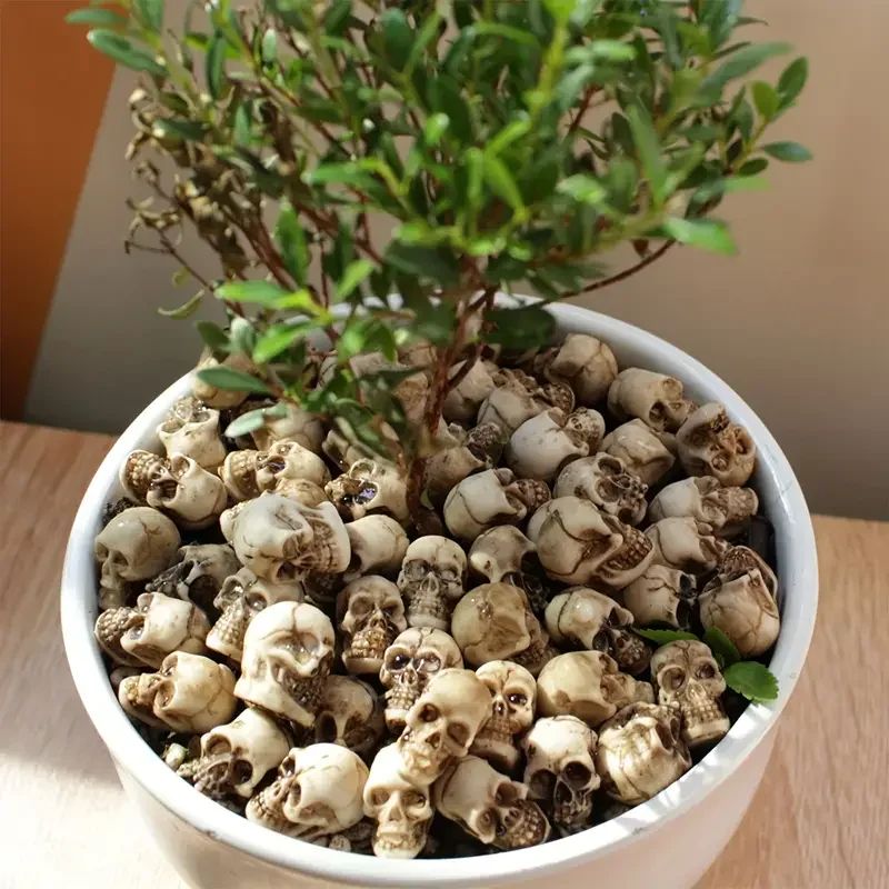 🎁Halloween Eve Promotions 🔥 Adorable Mini Skull Set (40 PCS)