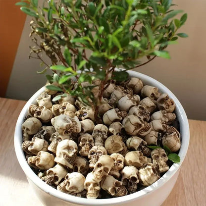 🎁Halloween Eve Promotions 🔥 Adorable Mini Skull Set (40 PCS)