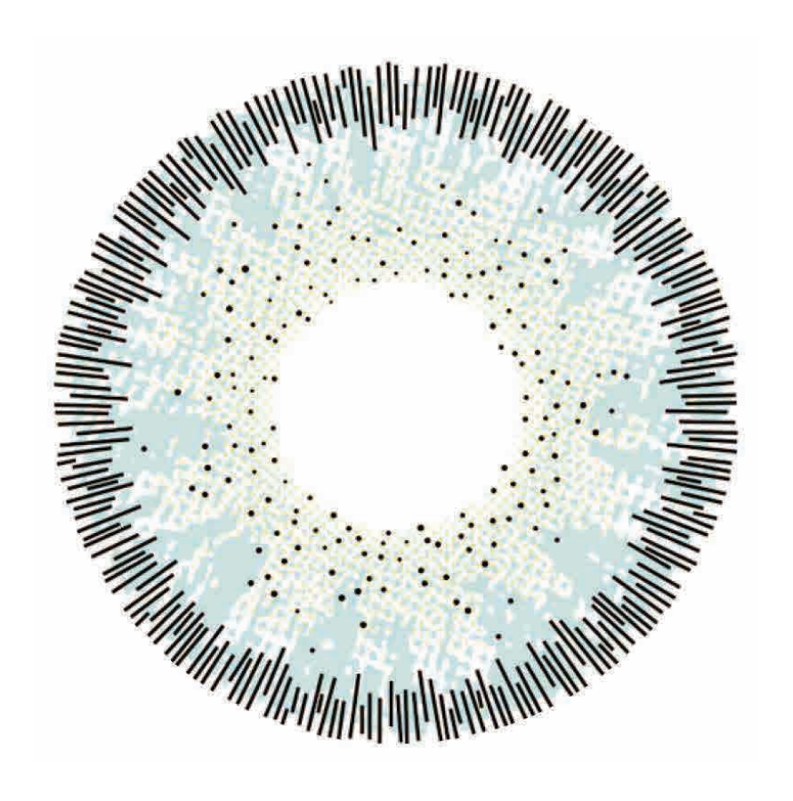 🔥【Factory direct sales】🔥Polar Light Gray Contact Lenses [1-Year Validity]