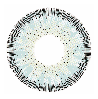 🔥【Factory direct sales】🔥Polar Light Gray Contact Lenses [1-Year Validity]