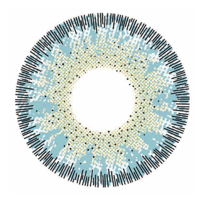 🔥【Factory direct sales】🔥Polar Light Gray Contact Lenses [1-Year Validity]