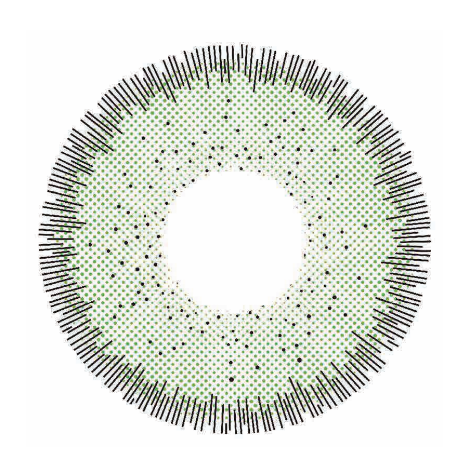 🔥【Factory direct sales】🔥Polar Light Gray Contact Lenses [1-Year Validity]