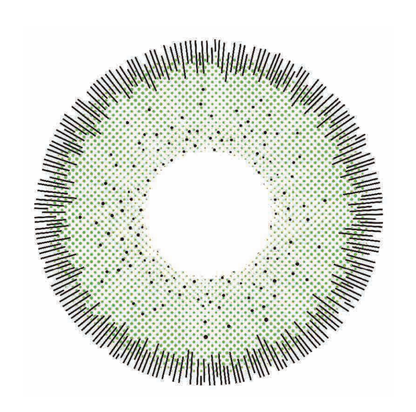 🔥【Factory direct sales】🔥Polar Light Gray Contact Lenses [1-Year Validity]