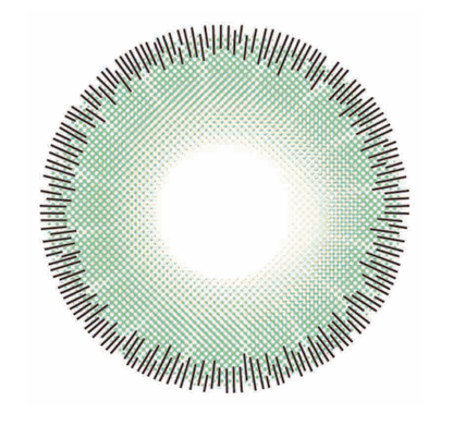 🔥【Factory direct sales】🔥Polar Light Gray Contact Lenses [1-Year Validity]