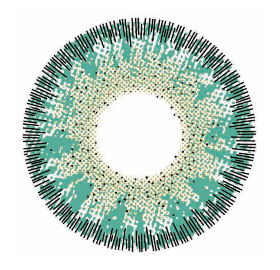 🔥【Factory direct sales】🔥Polar Light Gray Contact Lenses [1-Year Validity]