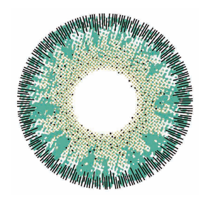 🔥【Factory direct sales】🔥Polar Light Gray Contact Lenses [1-Year Validity]